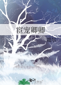 宦宠无删减版