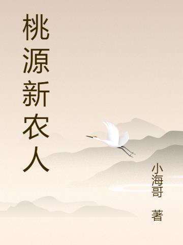 桃源新河桥