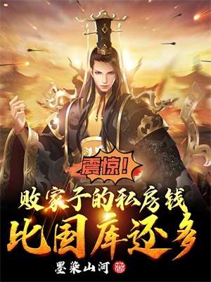 震惊败家子的私房钱比国库还要多