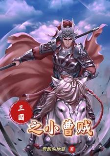 三国之小霸王笔趣阁