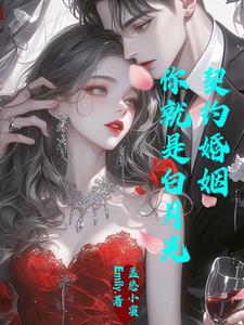 霸道总裁娇妻小说