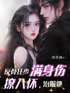 盛世芳华
