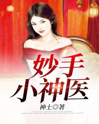 妙手小神医小说