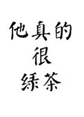 他真的很耀眼英语